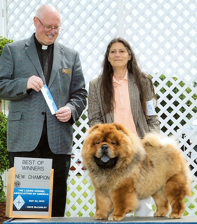 Domino chows store